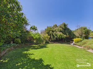 Garden- click for photo gallery